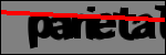 متن برای شناسایی