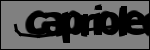 متن برای شناسایی